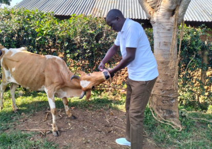 DEWORMING IN LIVESTOCK - ALBENDAZOLE