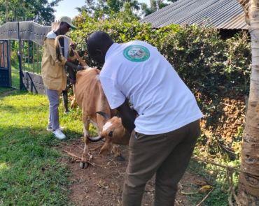 DEWORMING IN LIVESTOCK - LEVAMISOLE
