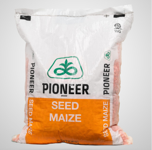 PIONEER 30G19 2KG