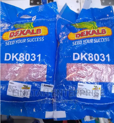 DK 8031 2KG