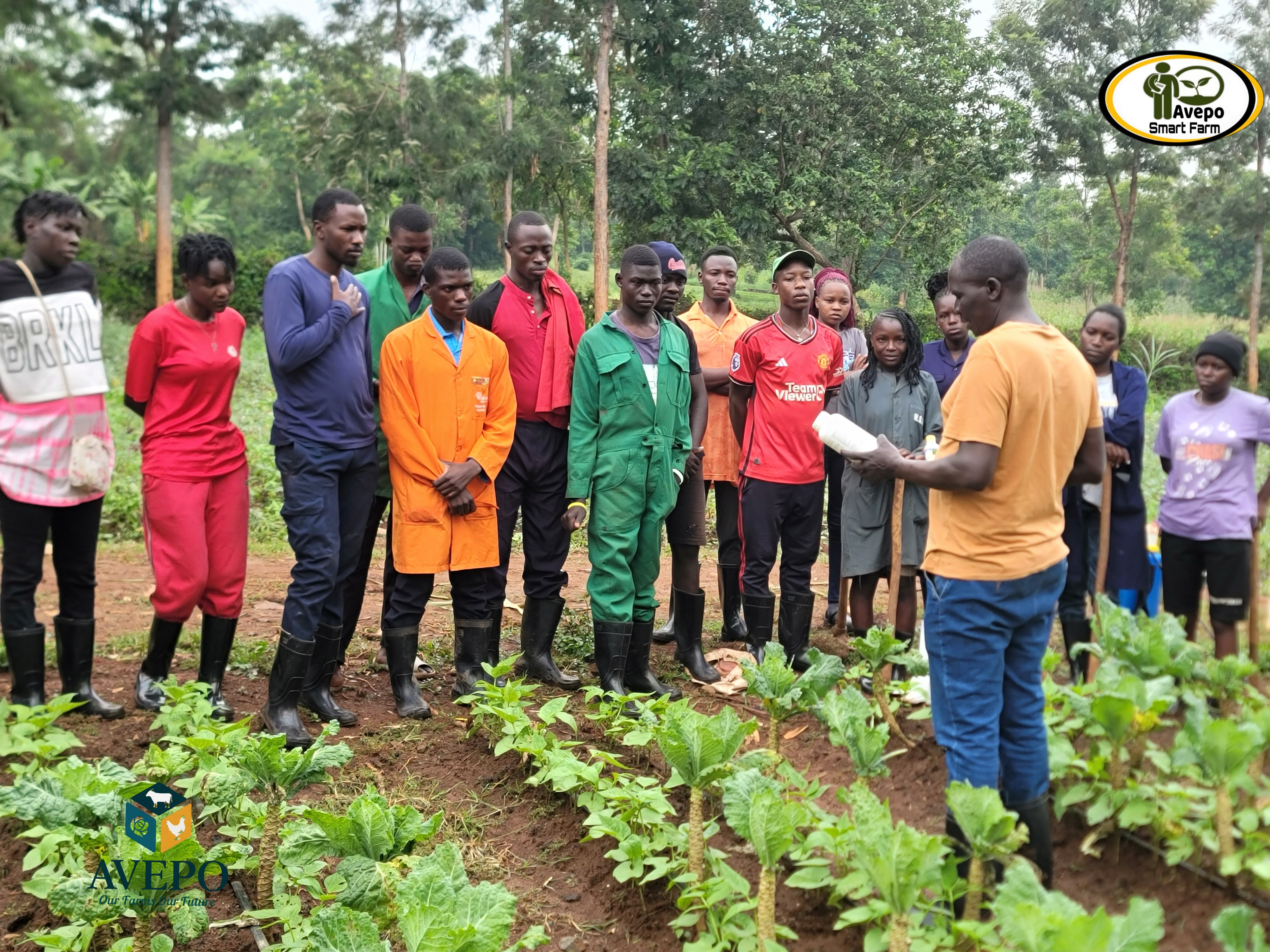 Farm Consultancy