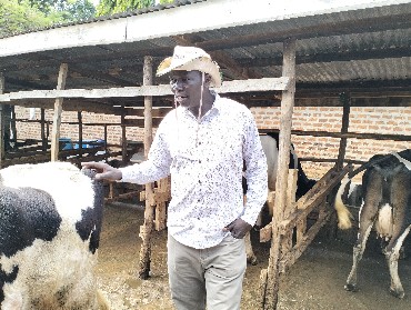 Dairy Services